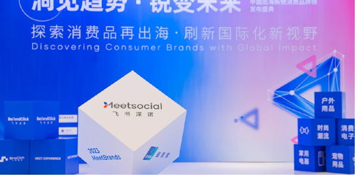 新品類、新渠道、新技術(shù) 飛書深諾沈晨崗談出海品牌如何借數(shù)字技術(shù)服務(wù)開啟新故事